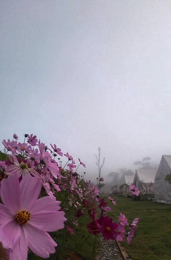 Lys I Dalen Resort&Camping เขาค้อ ภายนอก รูปภาพ