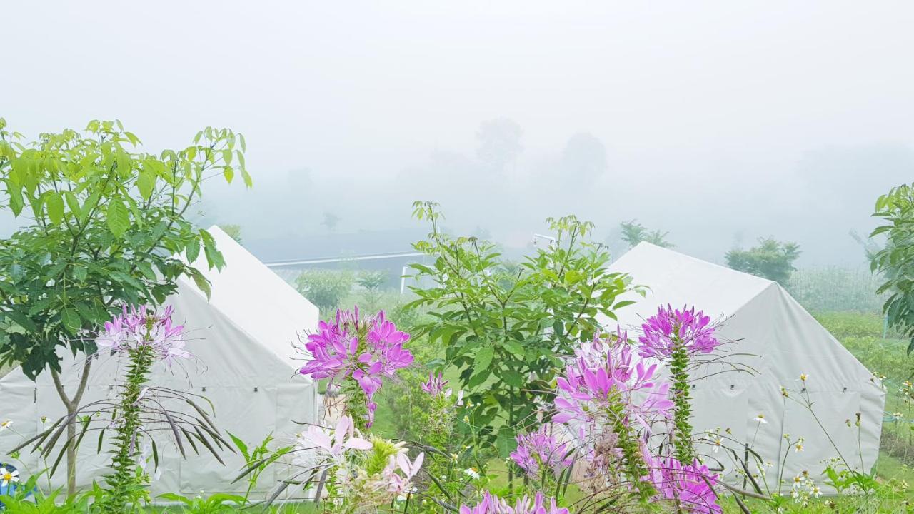 Lys I Dalen Resort&Camping เขาค้อ ภายนอก รูปภาพ
